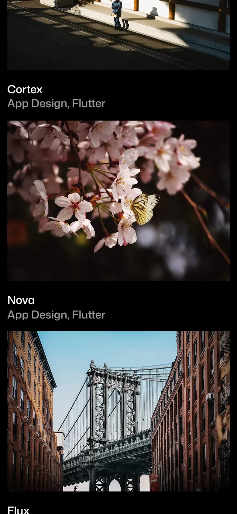 Aesthica further down the homepage on a phone