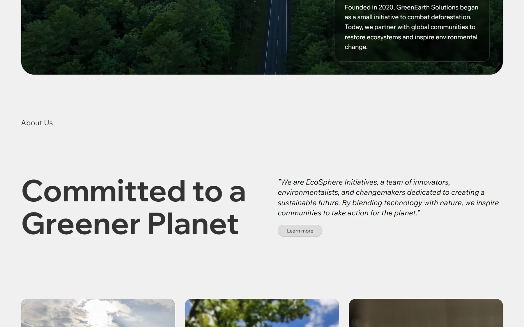 Green Earth, further down the homepage