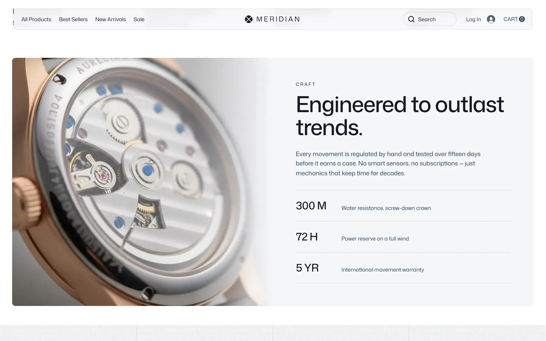 Meridian eCom website, screen 6